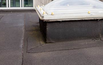 disadvantages of Hellmans Cross flat roofs