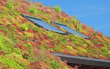 Hellmans Cross living roof systems